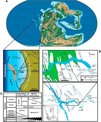 Hyperthermal-driven anoxia and reduced productivity in the aftermath of the Permian-Triassic mass extinction: a case study from Western Canada
